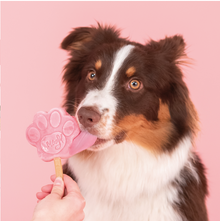Smoofl Hondenijs Mix Watermeloen 160 gram  – Verfrissende IJsmix voor Honden