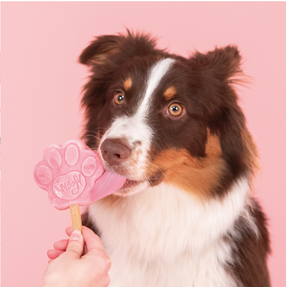 Smoofl Glace pour chiens Saveur pastèque 160 g – Préparation rafraîchissante pour glace pour chiens