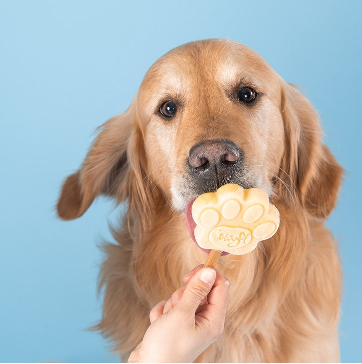 Smoofl Mélange Glace pour Chien Beurre de Cacahuète 160 grammes – Mélange Glace Rafraîchissant pour Chiens