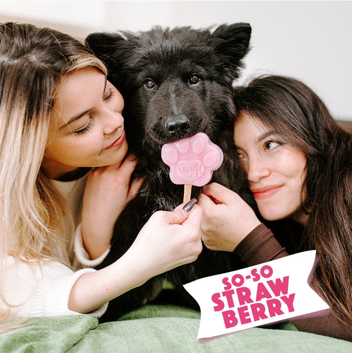 Smoofl Mélange pour Glaces pour Chiens Fraise 160 grammes – Mélange Glacé Rafraîchissant pour Chiens