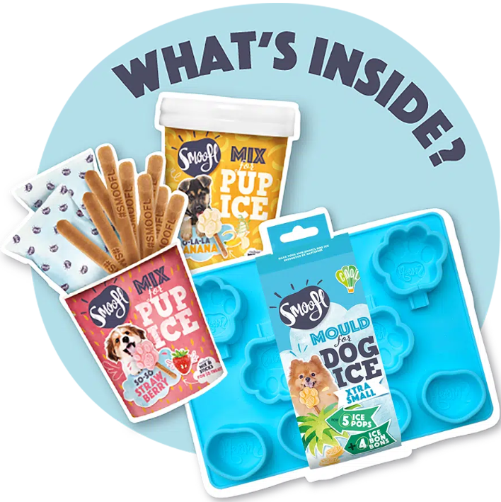 Smoofl Kit de démarrage pour glaces pour chiots