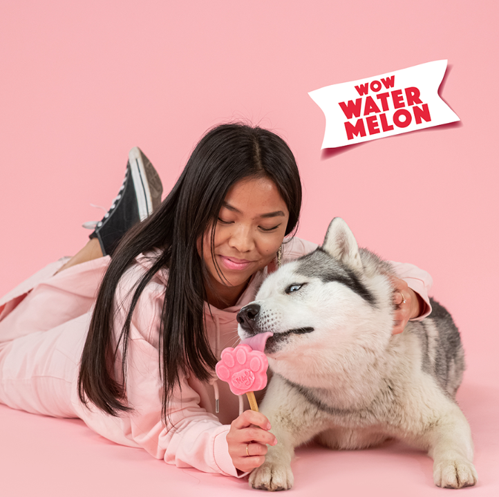 Smoofl Glace pour chiens Saveur pastèque 160 g – Préparation rafraîchissante pour glace pour chiens