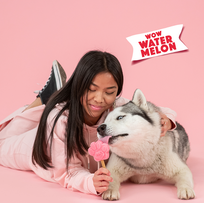 Smoofl Glace pour chiens Saveur pastèque 160 g – Préparation rafraîchissante pour glace pour chiens