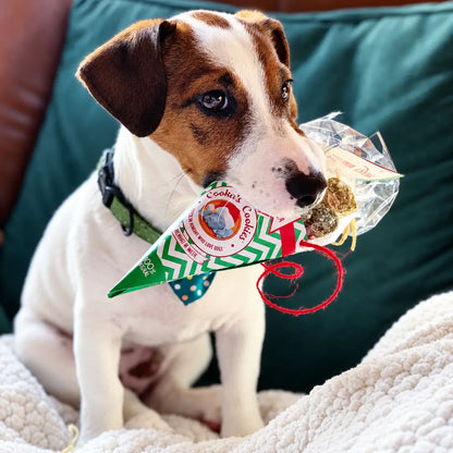 Woofmas Balls – Rund – Kerstsnacks voor honden