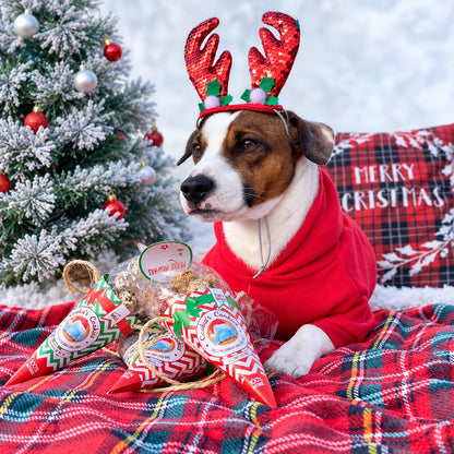 Boules de Noël pour chiens (beijinhos au poulet et au thon)