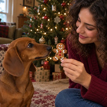 Calendrier de l'Avent Premium pour chiens