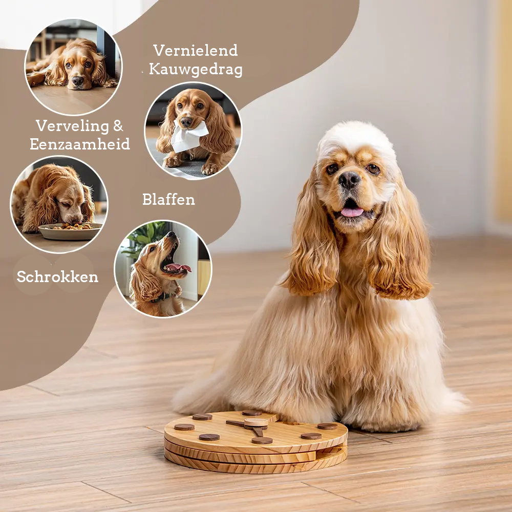 Horloge mural Puzzle chien - Créer de l'engagement - Divertir - Offrir une valeur ajoutée