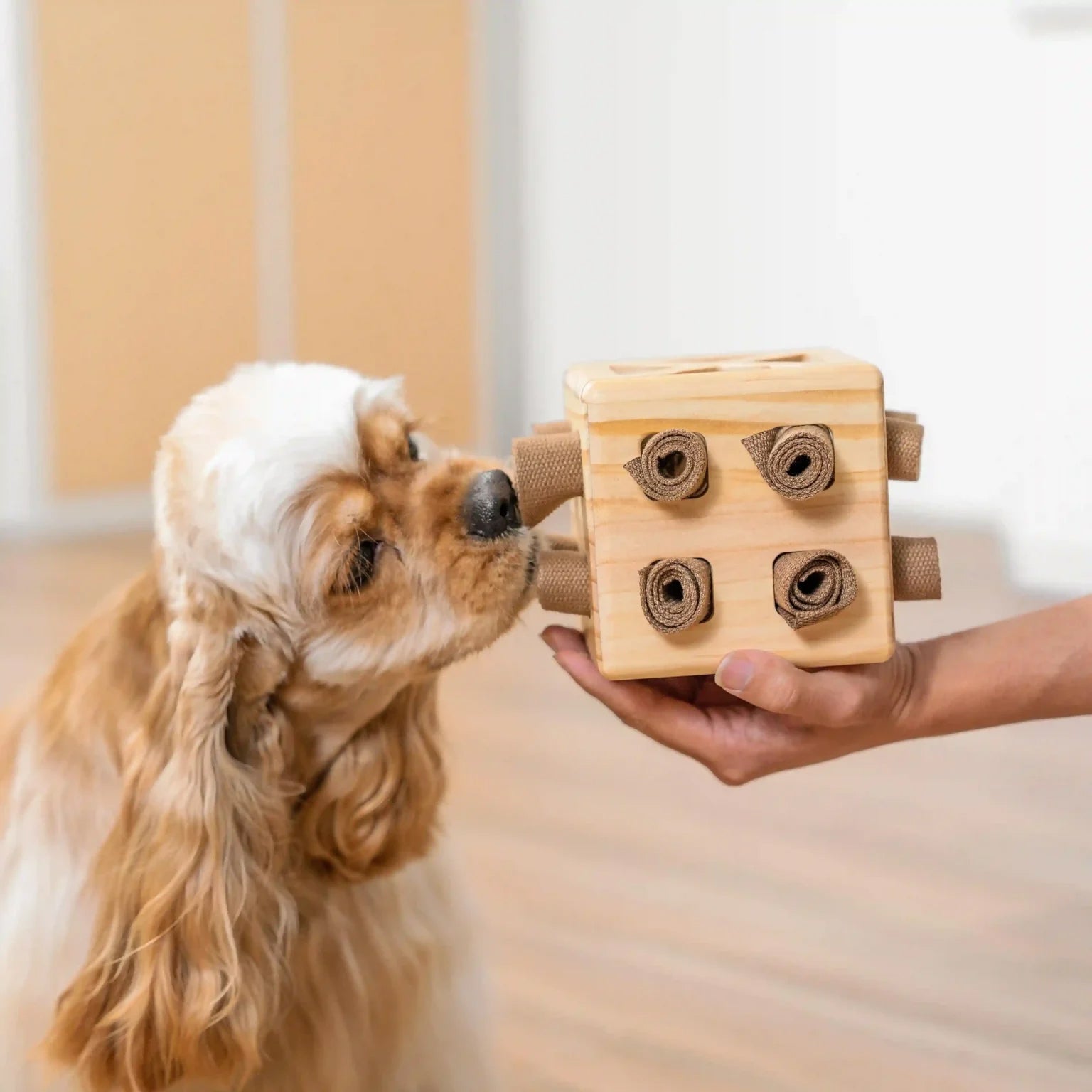 Snuffle Rubik's Cube hondenpuzzel - Betrokkenheid creëren - Vermaken - Toegevoegde waarde bieden