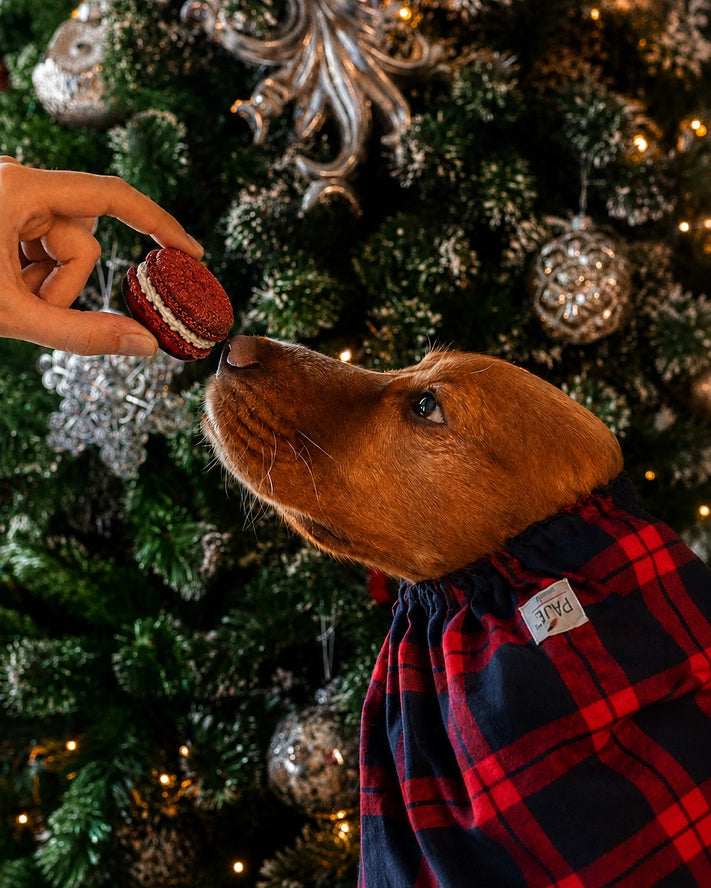Cooka’s Cookies Doggie Macarons – Christmas Cookies
