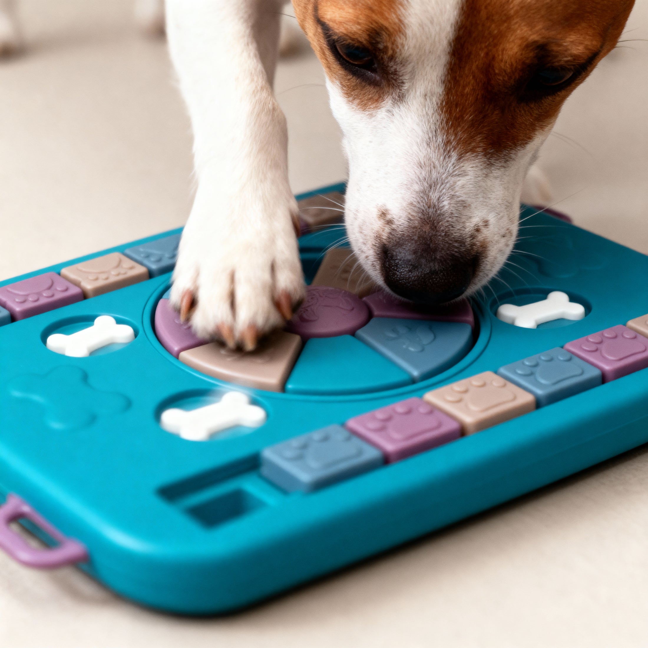 Brainboard Hondenpuzzel, interactief honden speelgoed, Slow Feeder - Mentale workout voor slimme honden - draaien, schuiven en trekken - puzzel - hulpmiddel voor het mentale welzijn om verveling en stress te verminderen