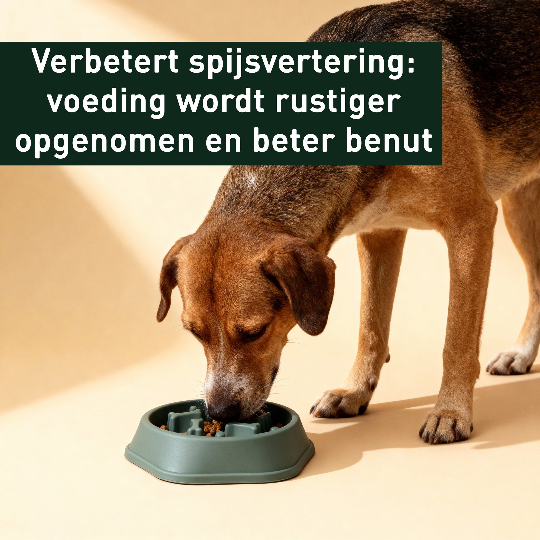 NoRush Antischrokbak, groene voerbak - Slow feeder voor een rustige eetroutine, trager eetgedrag