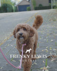 Video laden en afspelen in de galerijviewer, Frenky Lewis Dry Shampoo & Conditioner – Sandalwood, Jasmine & Vanilla 150ml
