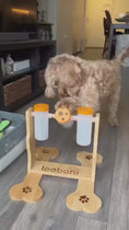 Video laden en afspelen in de galerijviewer, Snacklab treat dispenser Large, interactief honden speelgoed, Slow Feeder - Mentale workout voor slimme honden - draaien, schuiven en trekken - puzzel - hulpmiddel voor het mentale welzijn om verveling en stress te verminderen
