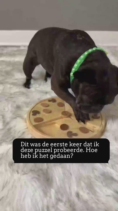 Bacon Pizza puzzle pour chien – Créer de l'engagement – Divertir – Apporter une valeur ajoutée