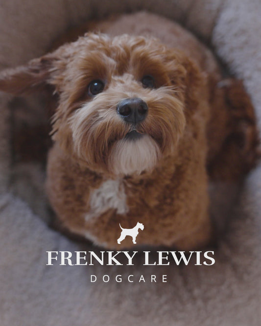 Frenky Lewis Luxury Gift Set – Green Tea & Bergamot