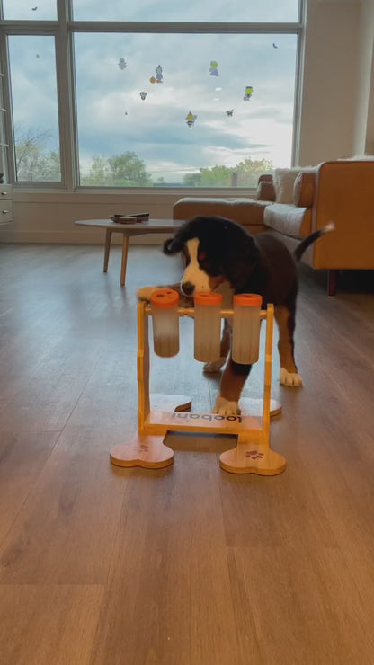Snacklab Treat Dispenser Large | Jouet interactif pour chien