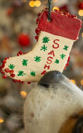 Afbeelding laden in Galerijviewer, Christmas Ornamental box
