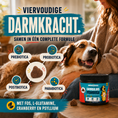 Afbeelding laden in Galerijviewer, SensiDog Darmbalans Probiotica – 180g
