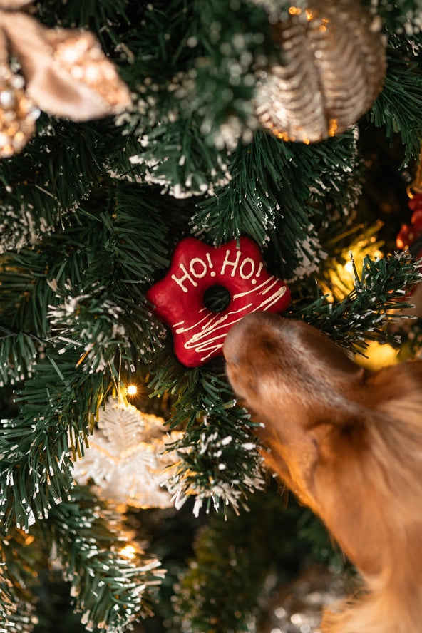 Woofmas Donuts – Kerstsnacks voor honden